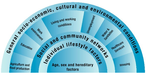 I MAGGIORI DETERMINANTI DELLA SALUTE The National Health Promotion