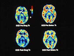 ANALISI DATI E IMMAGINI MEDICHE Medical (Imaging)