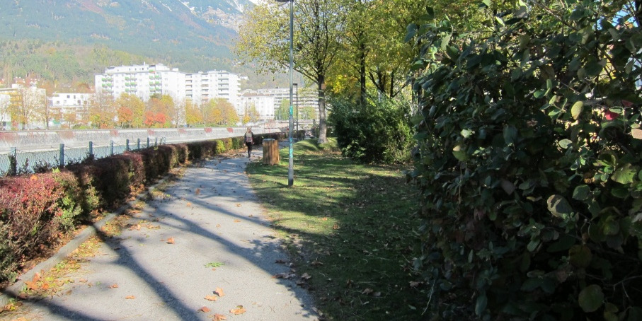 BEST PRACTICES CICLABILE DANUBIO Stati attraversate EV6 Dall Atlantico al Mar Nero Ciclabile del Danubio Passau- Vienna 300 km Germania - Austria pista abbastanza facile, prevalentemente pianeggiante