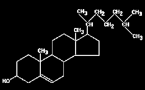 Lipidi Steroidi e colesterolo Fosfolipidi