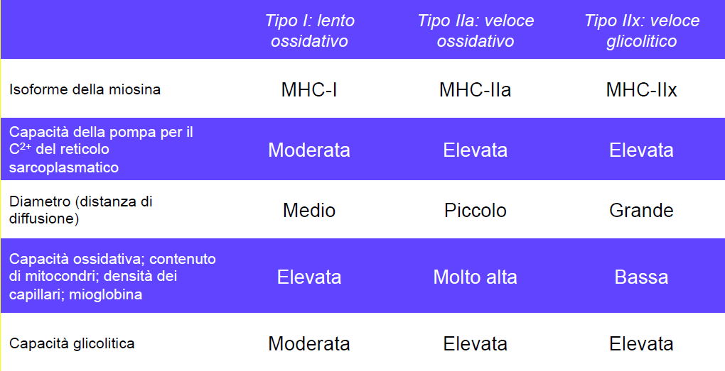 ISOFORME DELLE