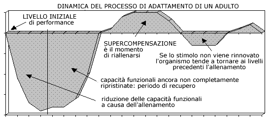 SUPERCOMPENSAZIONE (