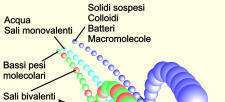 Classificazione delle membrane Le membrane che si prestano ad essere utilizzate negli