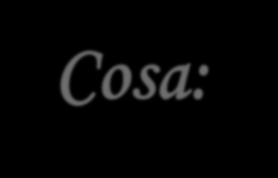 Cosa: ciò di cui andremo ad occuparci Chi: le figure impegnate Come: gli strumenti a disposizione 1) La Caritas: il Primato della Pedagogia.