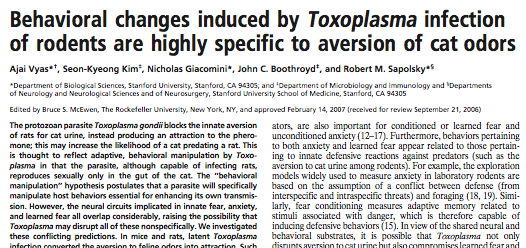 ai gatti cosa farà mai Toxoplasma quando va a finire nell