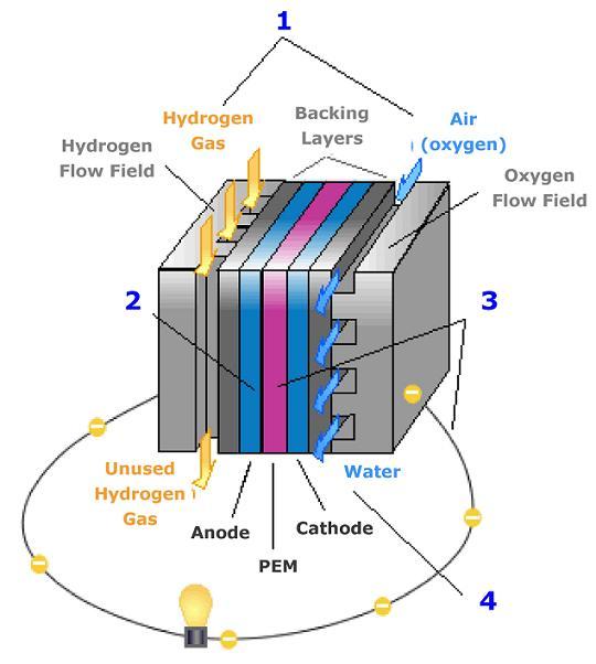 CELLE A COMBUSTIBILE PEM AD IDROGENO Il cuore della Fuel Cell è la singola unità elettrolitica