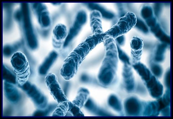 Anomalie cromosomiche rilevate ANEUPLOIDY Trisomy 21 (Down Syndrome) Trisomy 18 (Edwards Syndrome) Trisomy 13 (Patau Syndrome) Monosomy X (Turner Syndrome) XXX (Trisomy X) XXY (Klinefelter Syndrome)