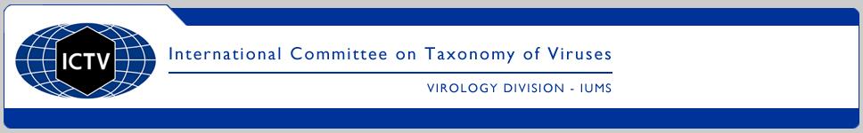 The universal virus taxonomy provides a classification scheme that is supported by verifiable data and expert consensus.