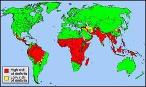 LA MALARIA IN ITALIA La malaria rappresenta la più importante parassitosi d importazione in Ialia.