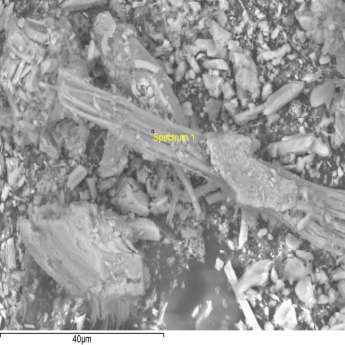 SEM + EDAX (energy dispersive X-ray analysis) Electron Image (Image Width: 84.1 µm)? CRISOTILO Summary results Weight % Weight % σ Atomic % Element Carbon 28.527 1.754 41.