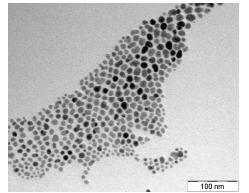Particles (a.u.) Fig. 4 Rappresentazione grafica delle HB_SPION 2.3.1.3. Le HB_ Ngap L immagine TEM delle nanoparticelle Nanogap (Fig.