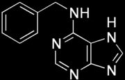 I FITORMONI OLIGOSACCARINE AUXINE GIBBERELLINE JASMONATI