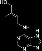 Citochinine Zeatina 6-Benziladenina Ritrovamento e localizzazione. Scoperte grazie all impiego di latte di cocco in colture in vitro.