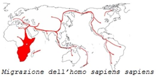 Sapiens significa ; l uomo di Neanderthal prende il nome da una valle della (Neander) dove sono stati ritrovati i primi resti fossili.