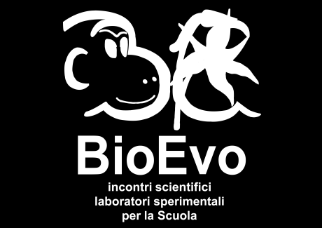 BioEvo è un azienda che intercetta e stimola interessi e curiosità per il mondo della Scuola tramite tecniche di comunicazione e marketing non