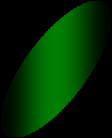 I Rami Ramo misto Gemma apicale (vegetativa) Gemme laterali (vegetative o riproduttive) Sono rami a frutto e come tali sono