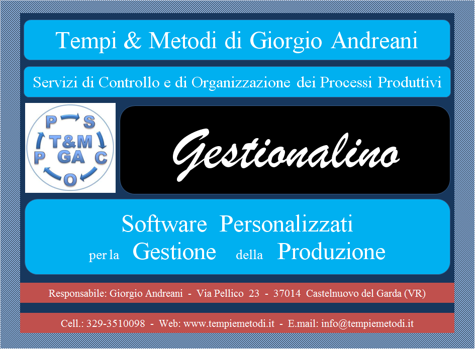 Giorgio Andreani S.C.O.P.P. TECNICO DELLE INDUSTRIE MECCANICHE Il Gestionale: Gestionalino Homepage: www.tempiemetodi.