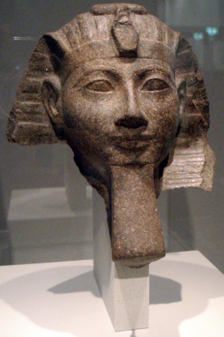 L ascesa al trono e la sua vita Il faraone Thutmose I durante la sua vita ebbe diversi figli: due figlie femmine dalla sua sposa principale (una era Hatshepsut) e dei figli maschi dalle spose