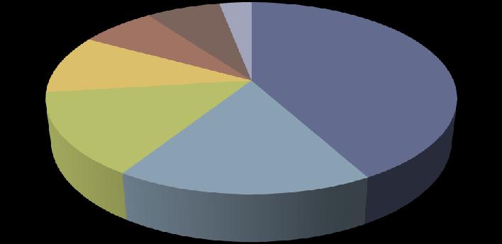 Meter nella Chiesa Tipologie eventi 2010 27% 4% 3% Convegni/ Conferenze/ Incontri - dibattito Celebrazioni religiose 66% Corsi di Formazione Partecipazioni eventi sociali