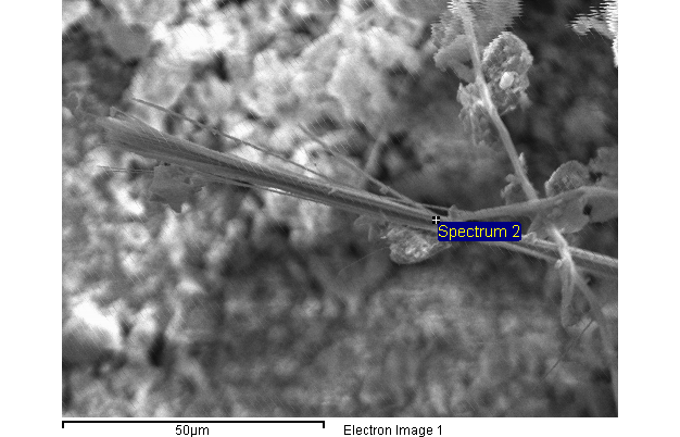 VARIETÀ AMOSITE Foto in microscopia elettronica