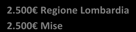 programmi presentati dalle Regioni finalizzati a sostenere la realizzazione di diagnosi energetiche nelle PMI o l'adozione nelle PMI di sistemi di gestione conformi alle norme ISO 50001.