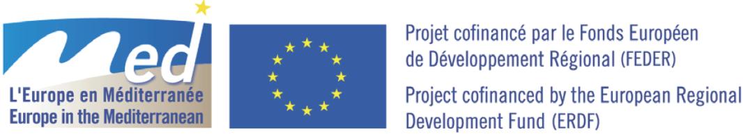 MAIN MAtériaux INtelligents MAIN è un progetto cofinanziato dal Programma MED dell Unione Europea