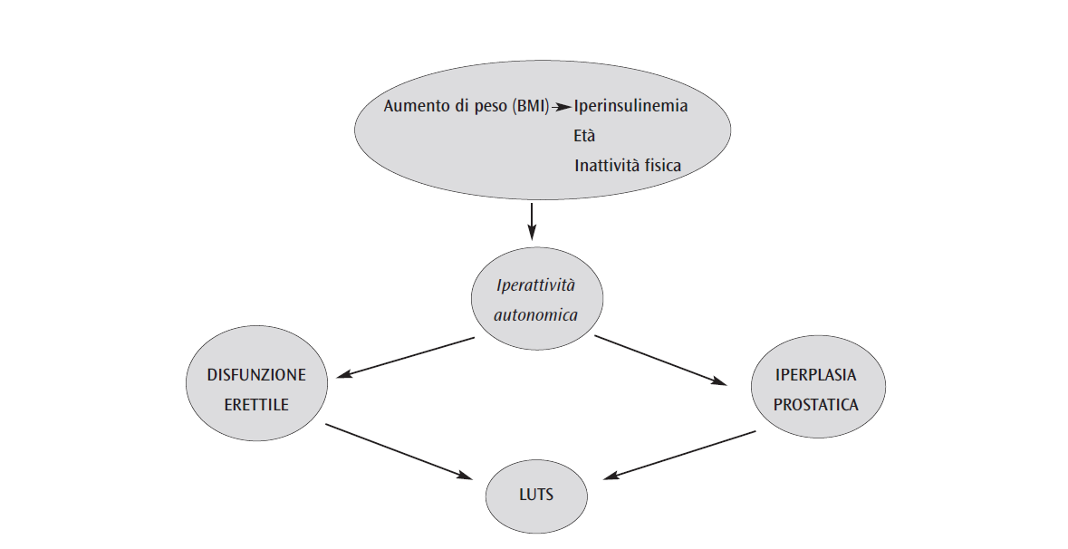 Fig. 8: Teoria della disfunzione