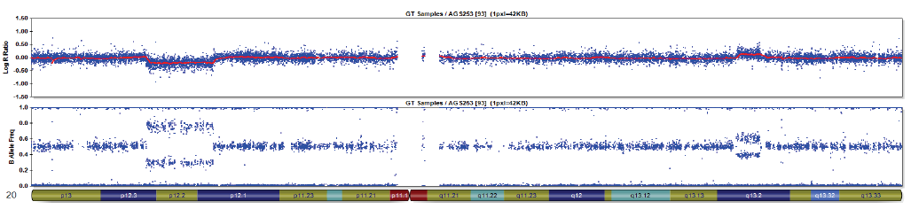 In aggiunta ai dati specifici del genotipo, il pattern allelico può: Confermare una CNV