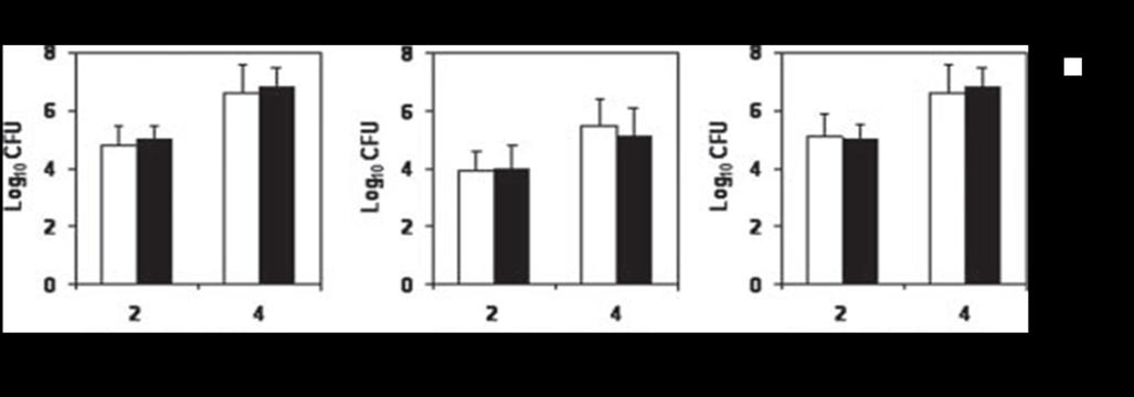I dati mostrati sono le medie delle conte batteriche ± DS.