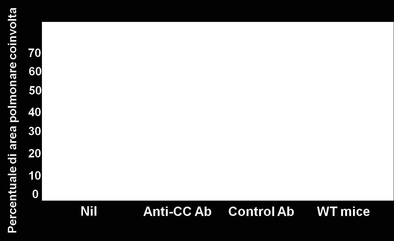 topi non riescono a controllare la crescita del micobatterio nei polmoni, raggiungendo più alte cariche batteriche a 8 e a 12 settimane dall infezione (Fig.25B).