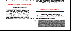 COSTITUTIVO Approvazione dello STATUTO Nomina C.