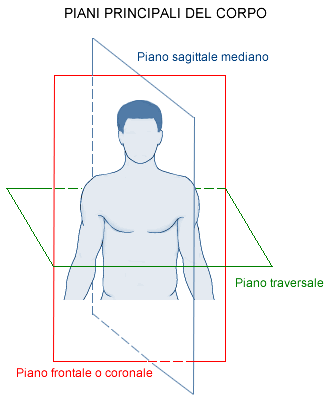 Sono statici / statico-dinamici e tridimensionali, si collocano cioè nelle tre dimensioni spaziali (lunghezza - larghezza - altezza). I diversi segmenti corporei conservano un rapporto fra di loro.