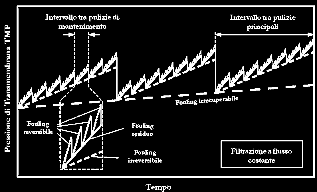 3. Il fouling nei bioreattori a membrane Grazie al rilevante impatto economico, il fouling rappresenta una delle tematiche scientifiche maggiormente investigate: circa il 30% degli articoli sugli MBR