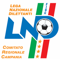 Federazione Italiana Giuoco Calcio Lega Nazionale Dilettanti DELEGAZIONE PROVINCIALE SALERNO via San Leonardo 120 Loc. Migliaro 84131Salerno Segreteria 089-338657 L.N.D Tel.