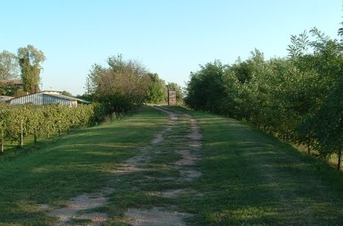 Il CONTESTUALIZZAZIONE E LOCALIZZAZIONE I territori, localizzati nei Comuni quasi a ridosso fascia arginale e di influenza del, furono per molti secoli terre paludose e oggetto di frequenti rotte dei