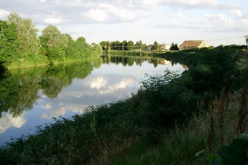 Il 1. BONIFICA DI FRATTA POLESINE Localizzazione Presenza di filari Assetto insediativo Sono ancora visibili esempi di delimitazione e chiusura dei campi realizzati da filari di alberi capitozzati,