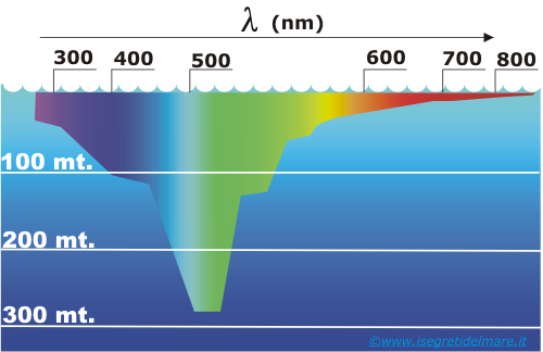 Le radiazioni nel mare L acqua del mare assorbe diversamente le radiazioni.