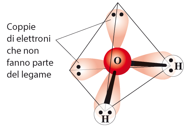 La struttura dell'acqua I quattro orbitali ibridi sp 3 dell atomo di ossigeno