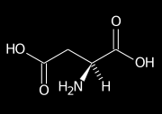 Glutammato e aspartato Neurotrasmettitore eccitatorio del cervello; Percezione delle sensazioni e del dolore, apprendimento, memoria, controllo della funzione motoria; Recettori ionotropi NMDA