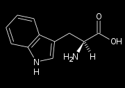Triptofano Serotonina Istamina Serotonina (5-HT) Regolazione ritmi circadiani, alimentazione, sonno e reazione di allerta, muscolatura liscia; Recettore ionotropo 5-HT 3 ; Recettori metabotropi 5-HT