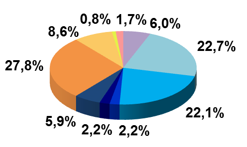 2. ANALISI DEL PORTAFOGLIO Analisi per Macro Asset Class I singoli strumenti presenti nel portafoglio sono stati mappati per macro e micro asset class.