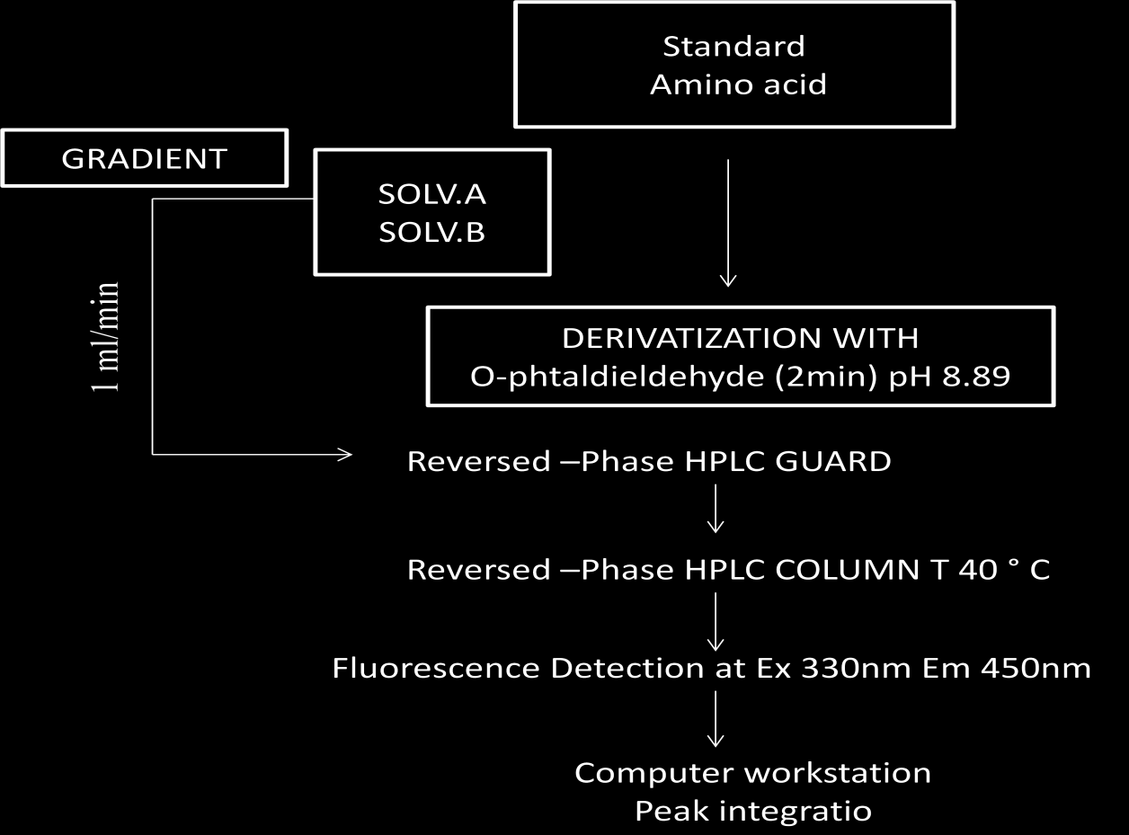 Figura 6: Schema