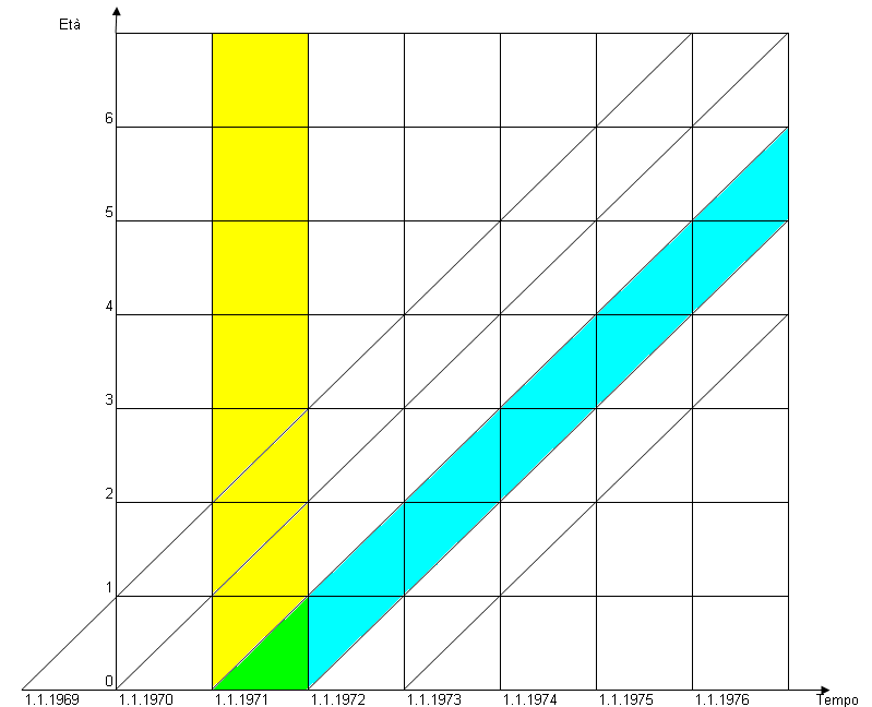 Figura 4: Un esempio del diagramma di Lexis tra l inizio e il termine dell età feconda. Infatti le decisioni in merito alla procreazione vengono prese in funzione delle decisioni prese in precedenza.