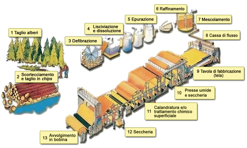 8º fase: la carta viene arrotolata fino a formare bovine di 35 tonnellate, lunghe 60 km.