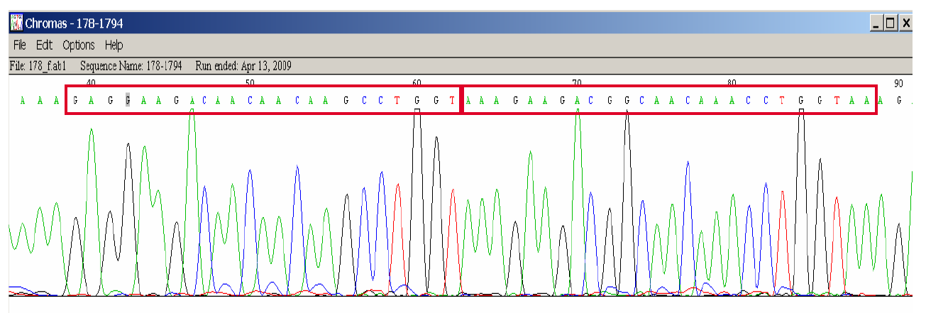 IZSTO I ceppi isolati sono stati caratterizzati Prove genotipiche Introduzione Ricerca di geni codificanti tossine tramite multiplex-pcr (De Buysier et al.