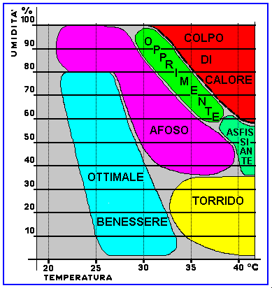 La sensazione di caldo e freddo La percezione della temperatura esterna dipende dalla capacità del nostro corpo di regolare la propria