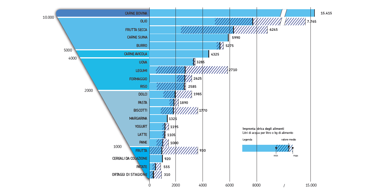 Il framework teorico Water Footprint Water Footprint: