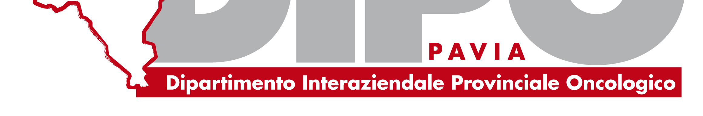 ambito. L attività del DIPO si è concretizzata formalmente nello svolgimento di n.