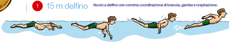 La partenza avviene con distacco dal blocco in posizione dorsale in acqua. Dopo ogni vasca viene effettuata una virata a capriola.