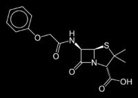 Back PENICILLINE Le penicilline sono antibiotici appartenenti alla famiglia delle beta lattamine, insieme alle cefalosporine e i monobattami; le beta lattamine sono caratterizzate dall anello
